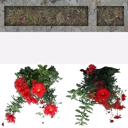 apat_flowers