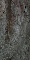 juniperbrk
