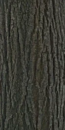 lindenbrk
