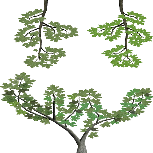 mbranch