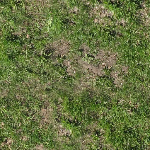 my_grass_1