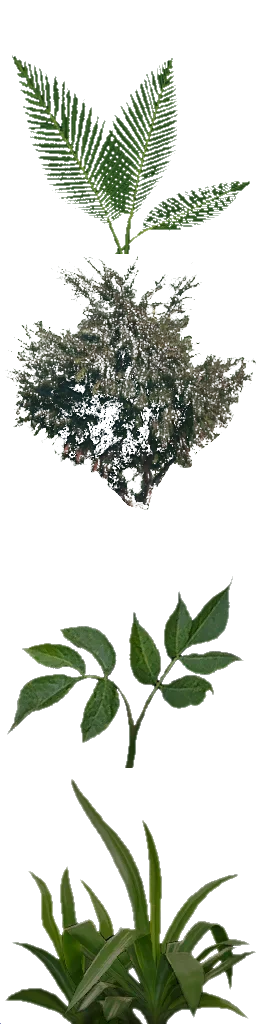 txgrassbig0