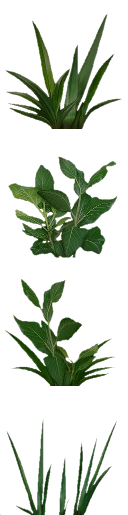txgrassbig1
