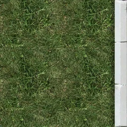 border_grass