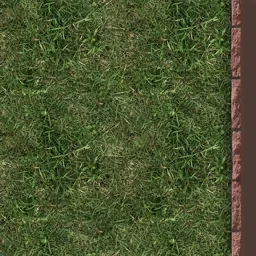 border_grass2