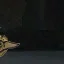 pilothat01