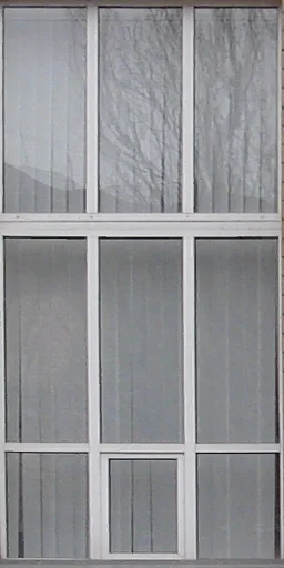 window2