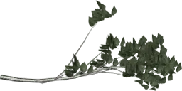 hazel2_branch1
