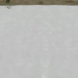 vir_wall1