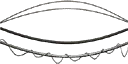dt_overwire_t