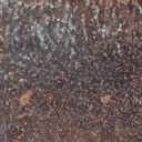 gb_petshop_rust01