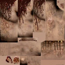gorebody