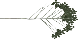 hazel06_branch2
