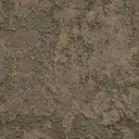 ceiling