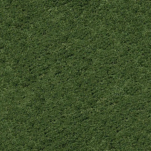 grass_4