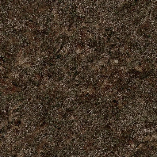 grass1_a