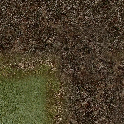 newgrassbrnles2