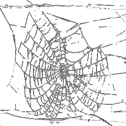 glass
