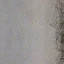 perroad_01