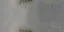 perroad_05