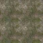 znam_grass_bada