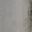 perroad_01
