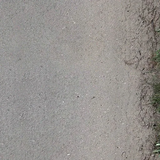 perroad_01