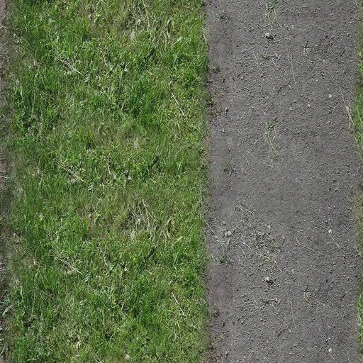perroad_02