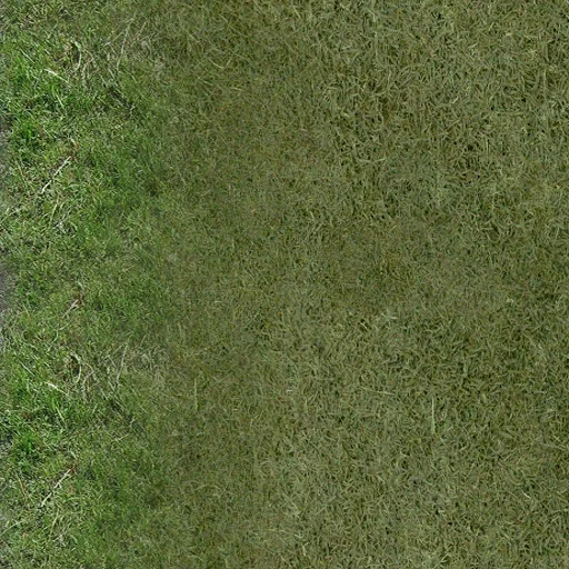 perroad_03