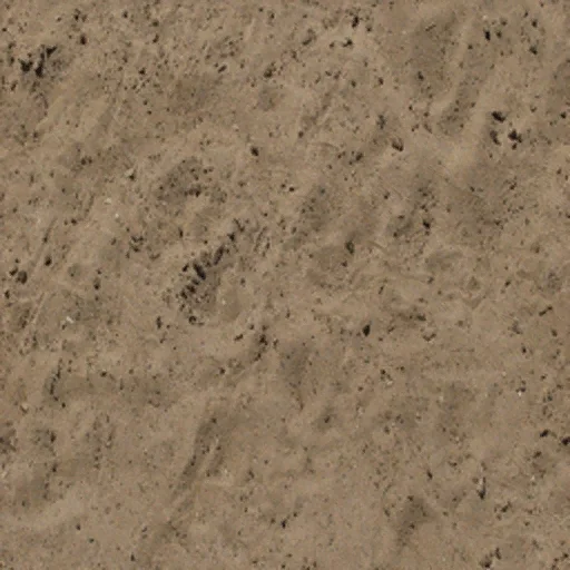 ryzozero_sandunderwater