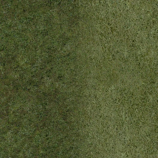 new_ryazan_lesgrass
