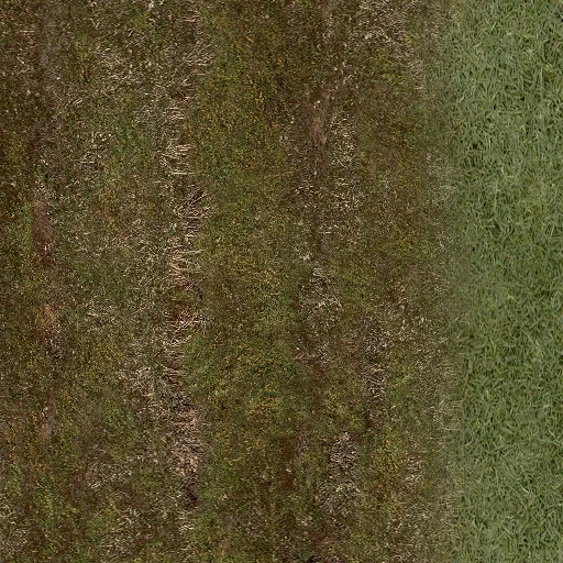 smechanii_lesgrass