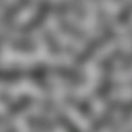 chrome_max