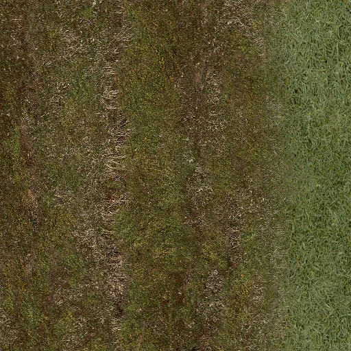 smechanii_lesgrass