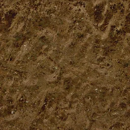 setunka_dnodirt