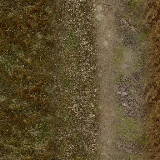 setunka_dnotoforest