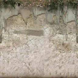 dom8_wall4