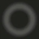 an2_whl
