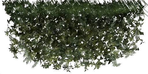 bushwall