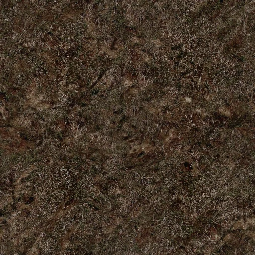 grass1_a