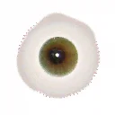 eye