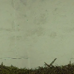 wallwbushes
