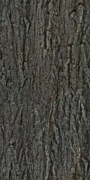 blackbrk