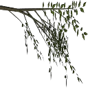 weeelm