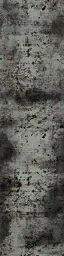 birch2
