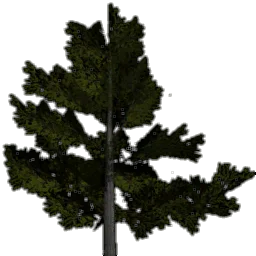 tree_lodkastan