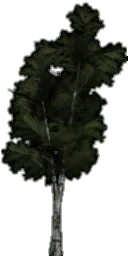 tree_lodpaper_der1