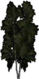 tree_lodpaper_der2