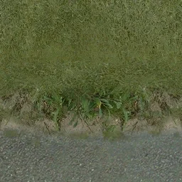 grass_cpark