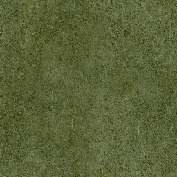 yardgrass1